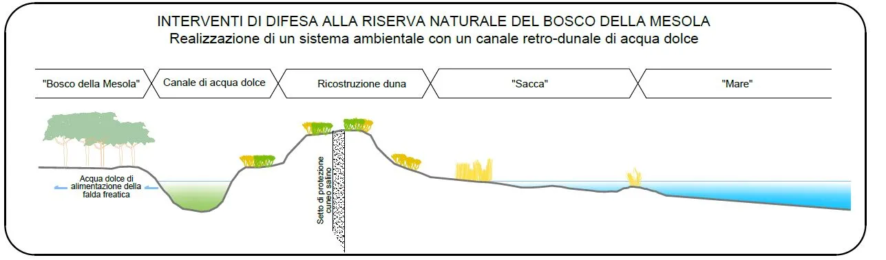 Schema degli interventi di difesa della Riserva Naturale del Bosco della Mesola, con canale retro-dunale di acqua dolce tra bosco, duna, sacca e mare